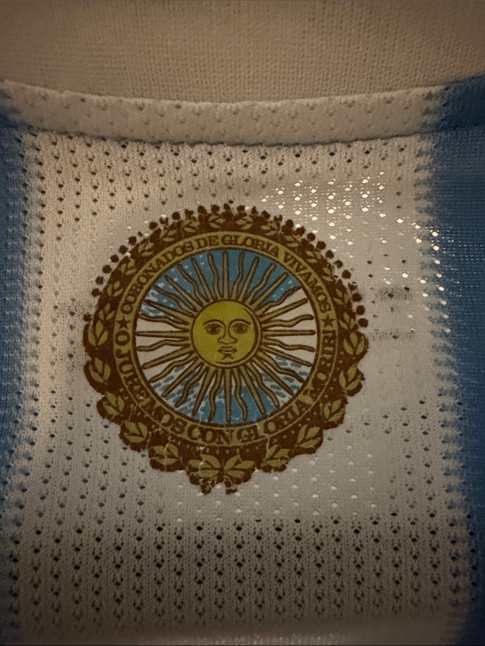 adidas Argentina Home Soccer Athletic Wear- Light Blue & White - Picture 8 of 10